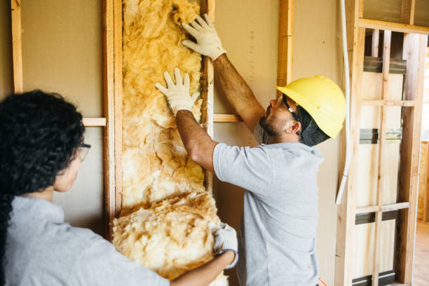 Best Eco-Friendly or Green Insulation Solutions  in Winton, CA