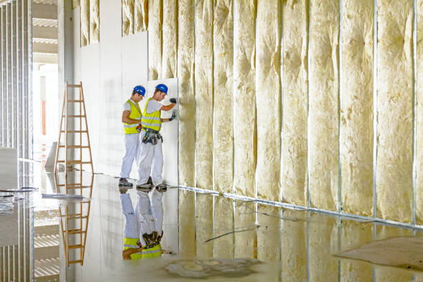 Types of Insulation We Offer in Winton, CA